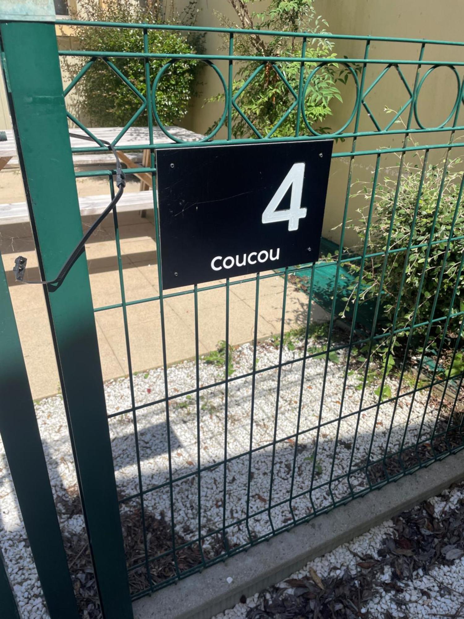 Des Pins Saint-Hilaire-de-Riez